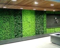 Modern room featuring a wall covered in lush green vertical garden with spotlights on a wooden ceiling.